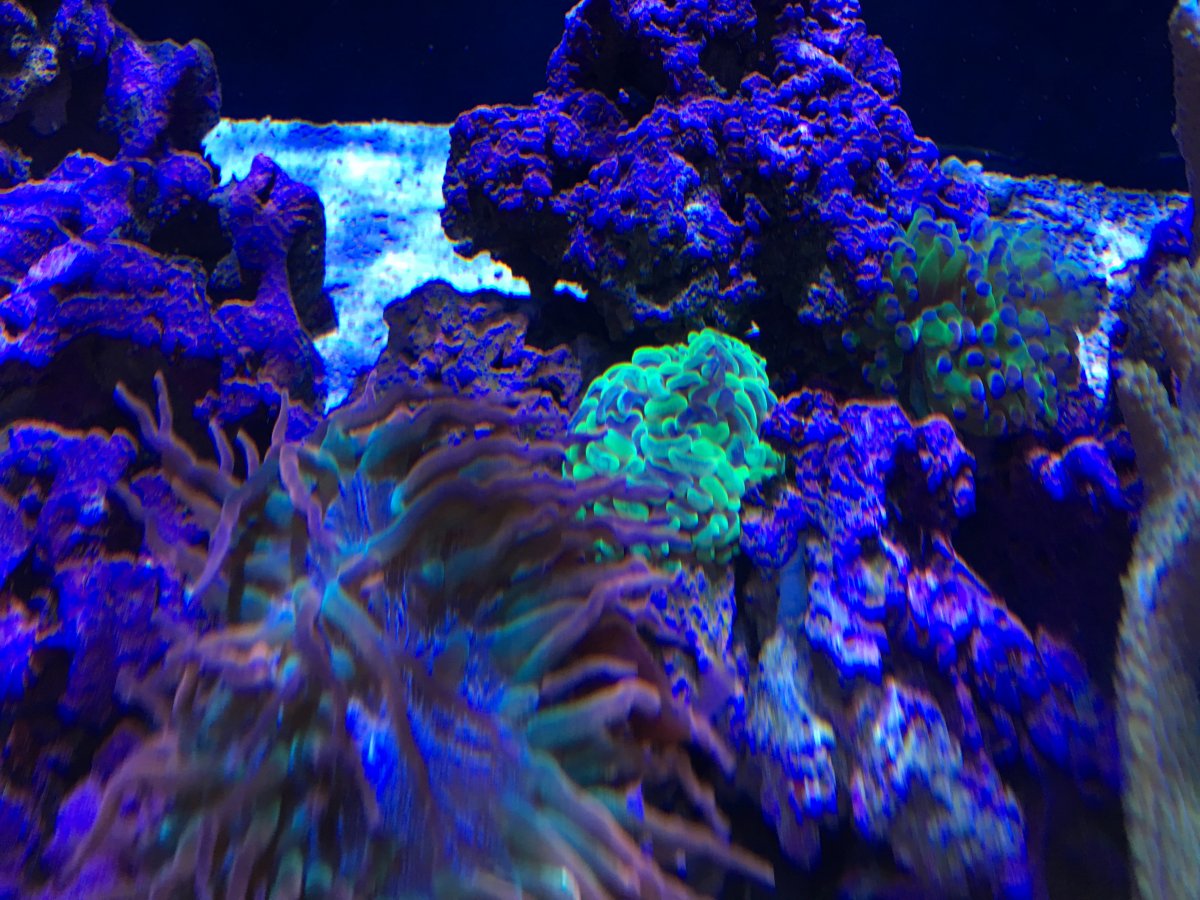 IMG_0505.JPG