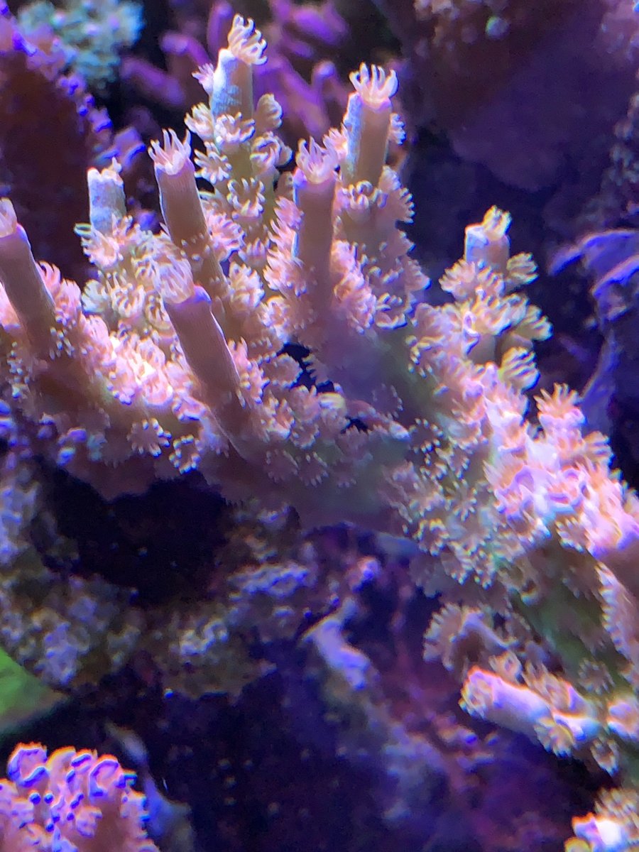 IMG_0511.jpeg