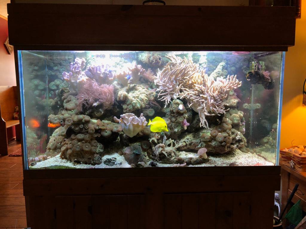 IMG_0518.jpeg