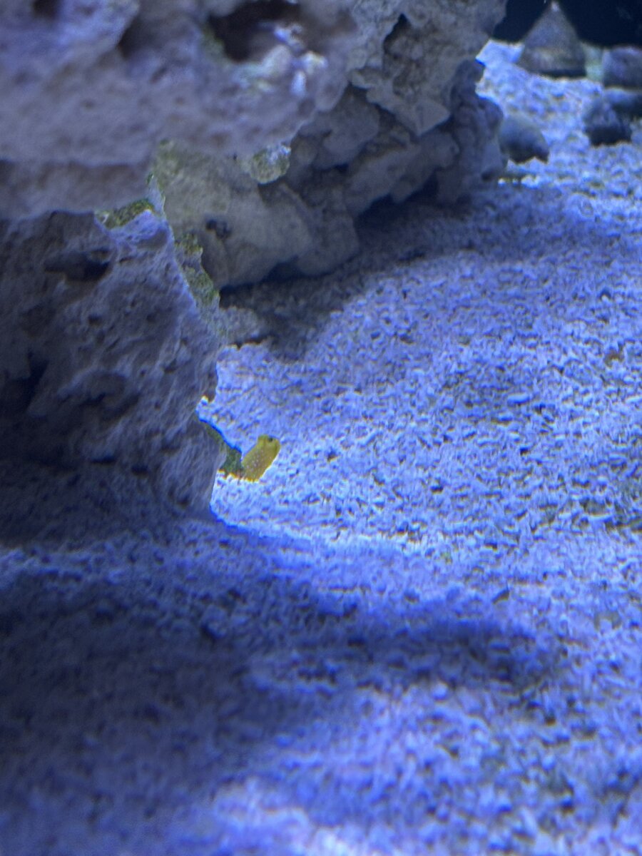 IMG_0520.jpeg