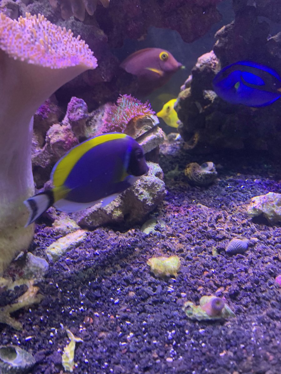 IMG_0522.jpeg