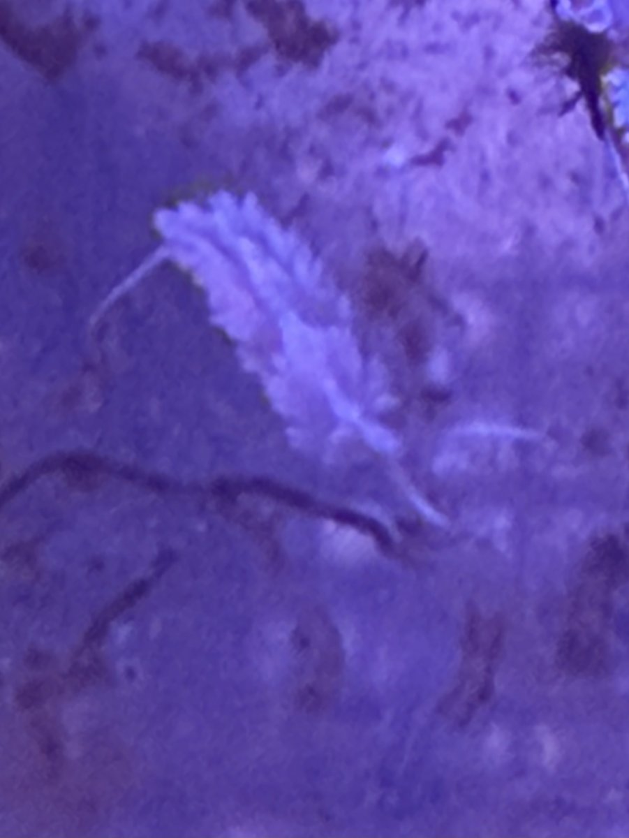 IMG_0525.jpeg