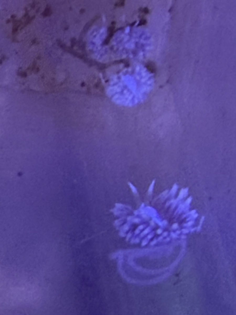 IMG_0526.jpeg