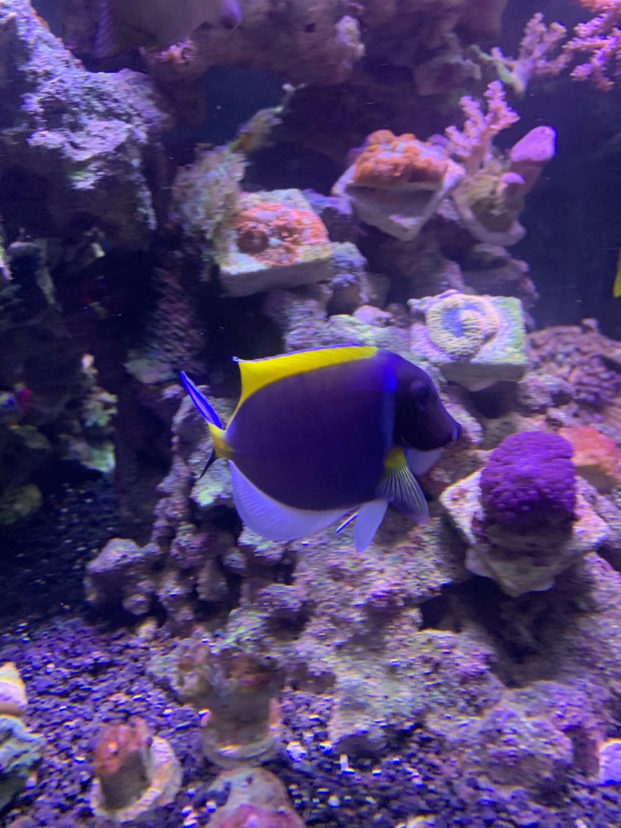 IMG_0526.jpeg