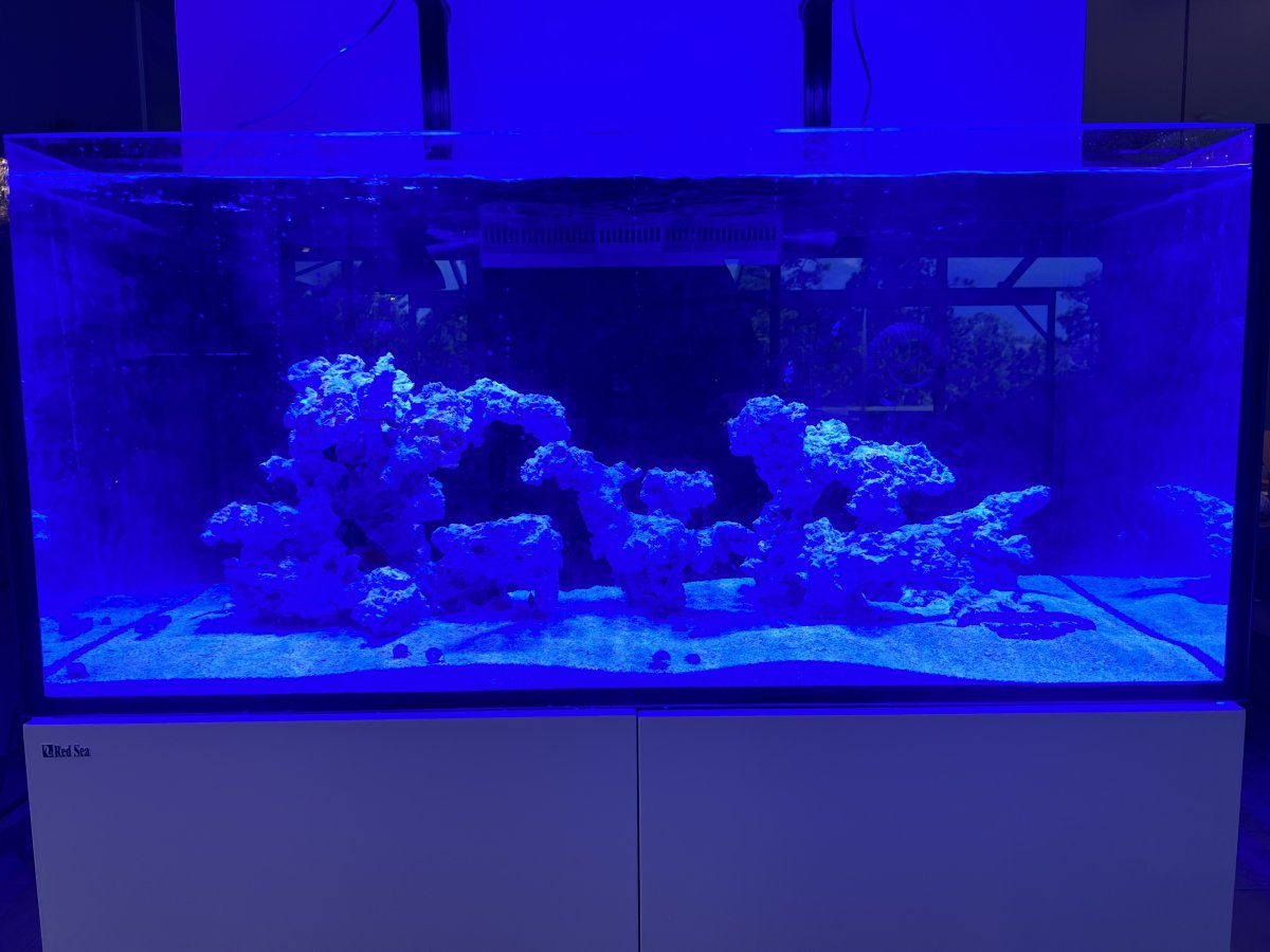 IMG_0528.jpeg