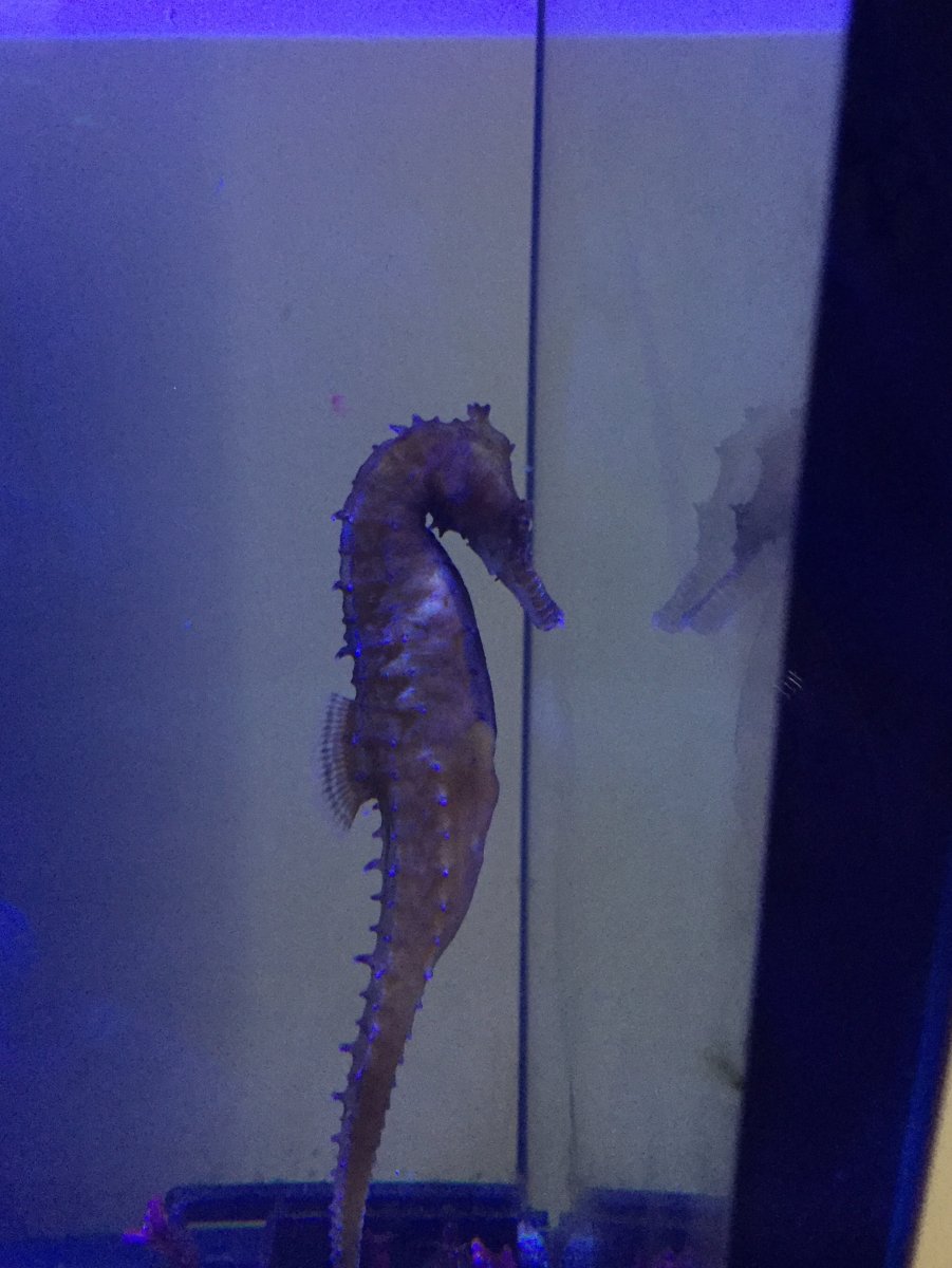 IMG_0529.JPG
