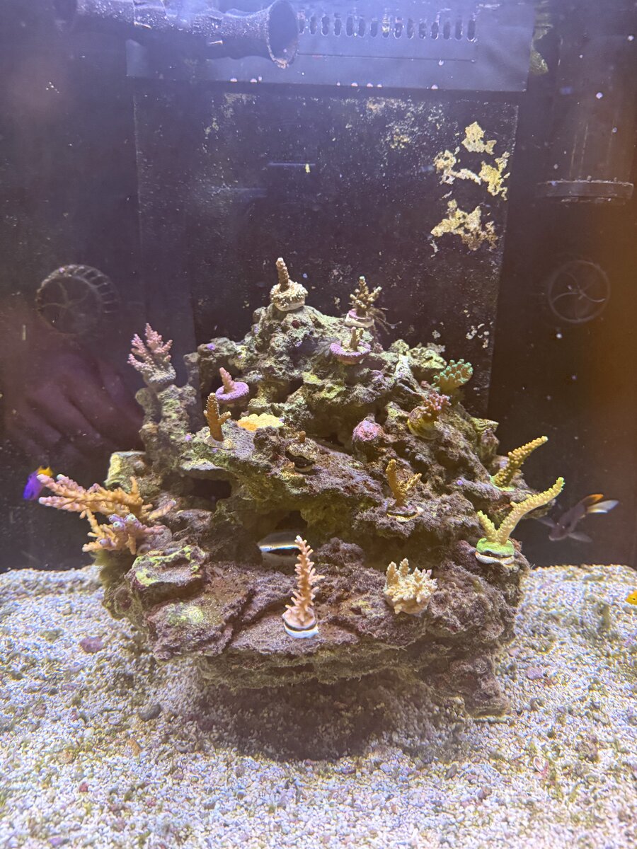 IMG_0532.jpeg