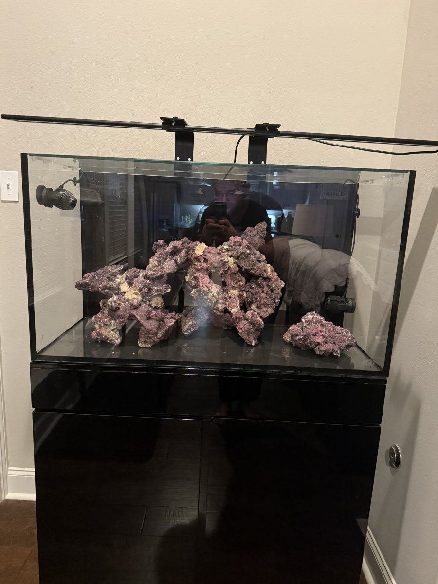 IMG_0535.jpeg
