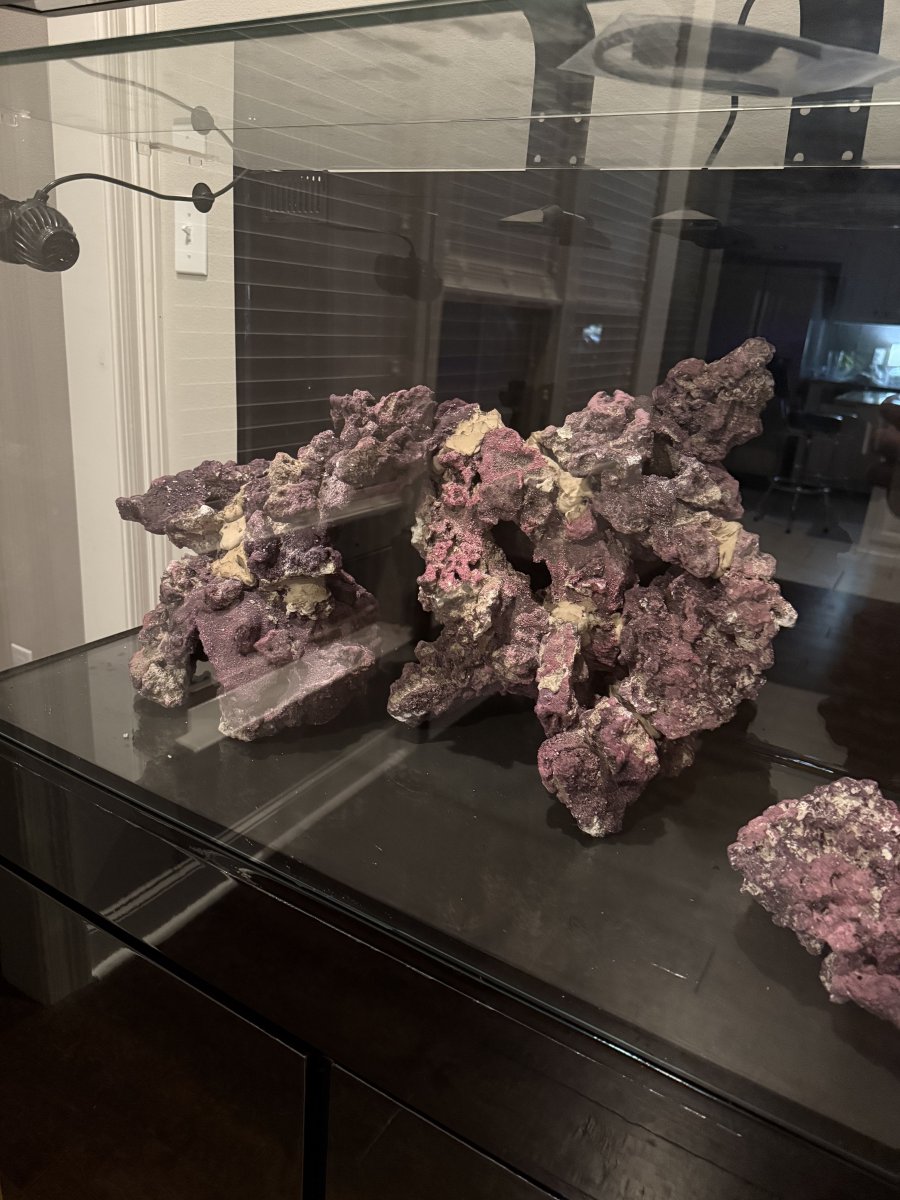 IMG_0536.jpeg