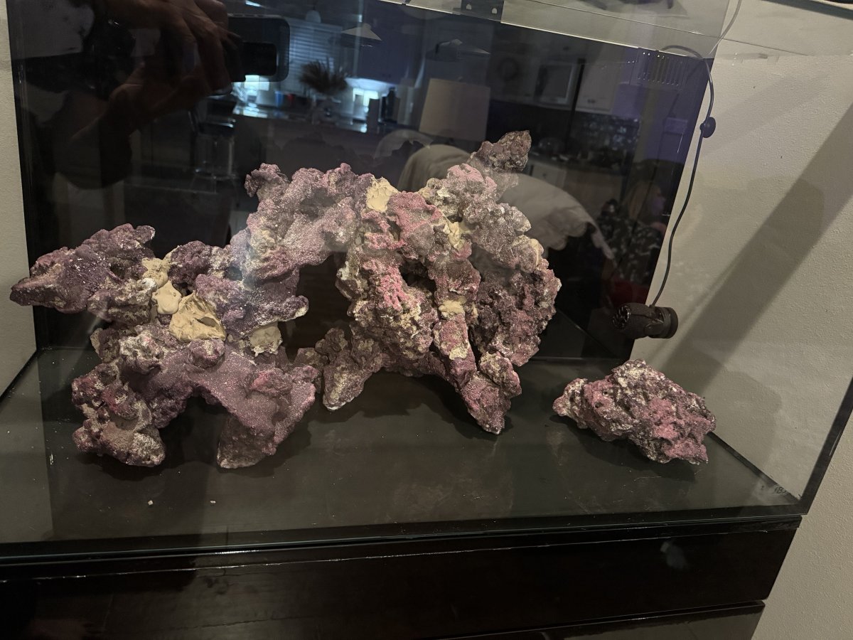 IMG_0537.jpeg