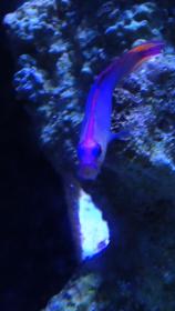 IMG_0537.jpg