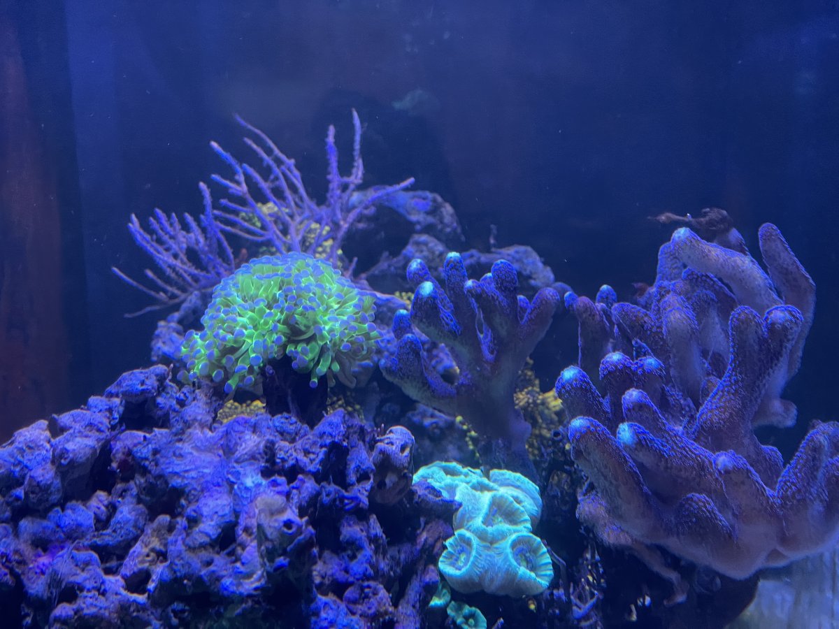 IMG_0541.jpeg