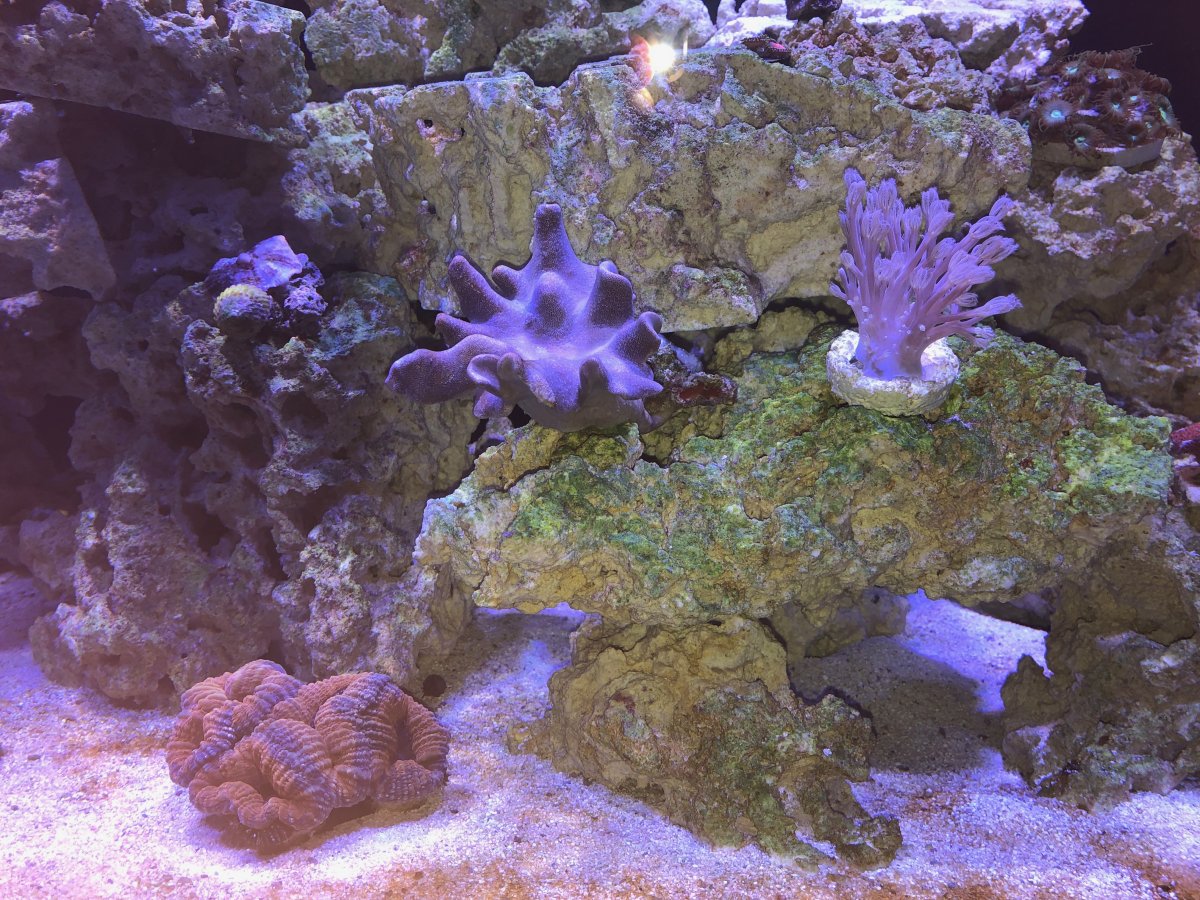 IMG_0544.jpeg