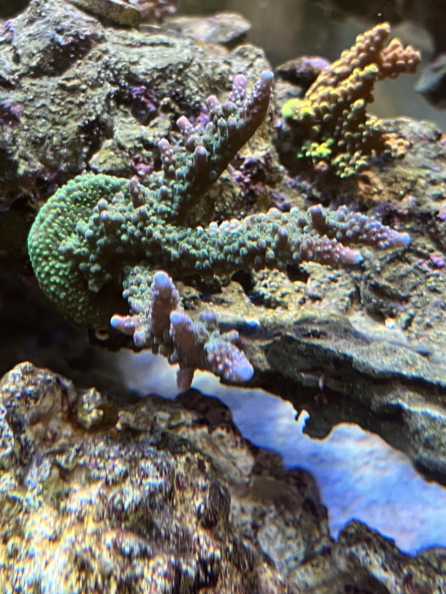 IMG_0544.jpeg