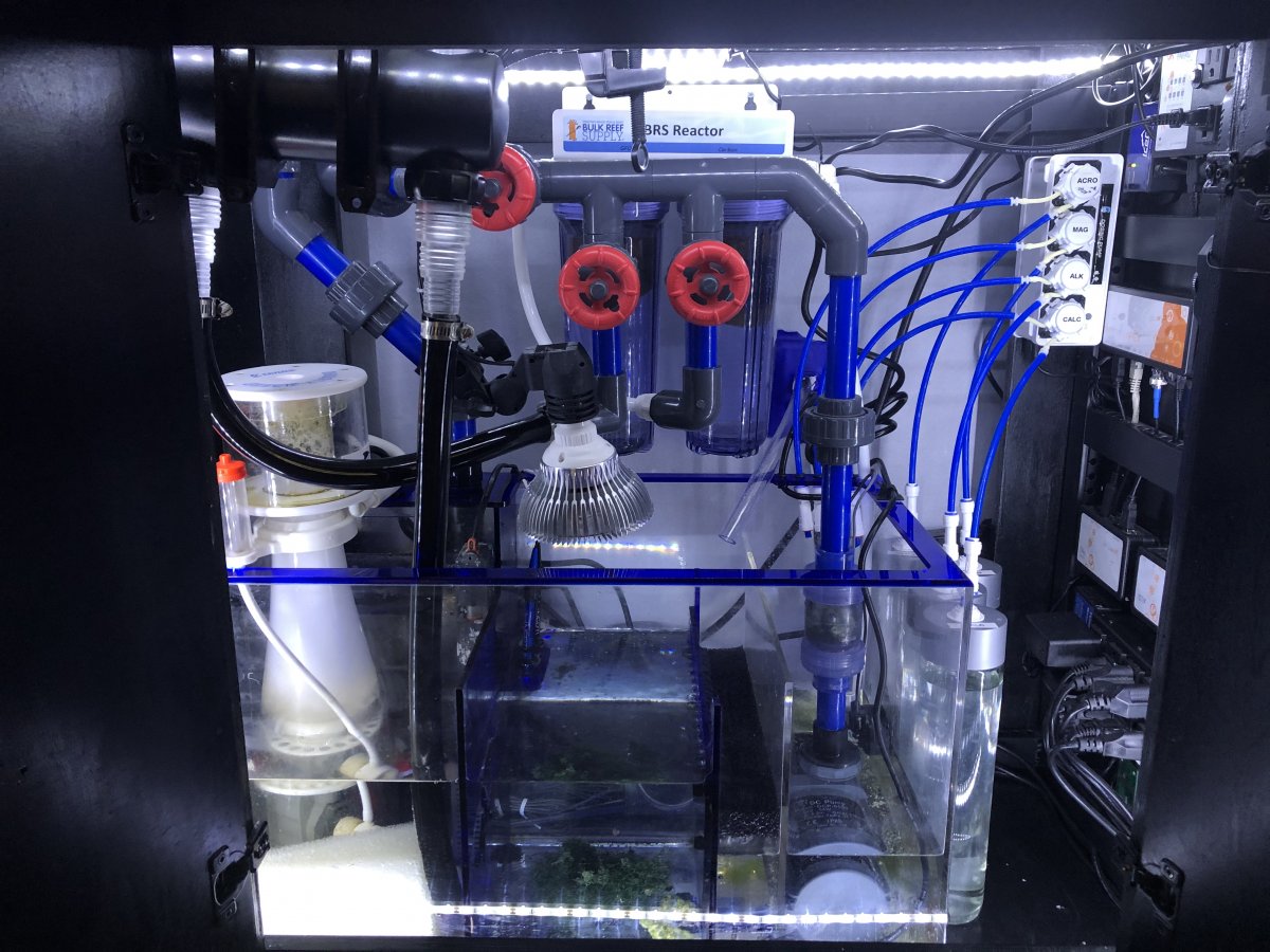 Plumbing show off | Reef2Reef