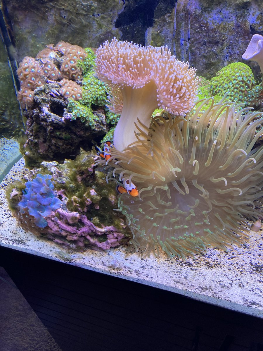 IMG_0552.jpeg