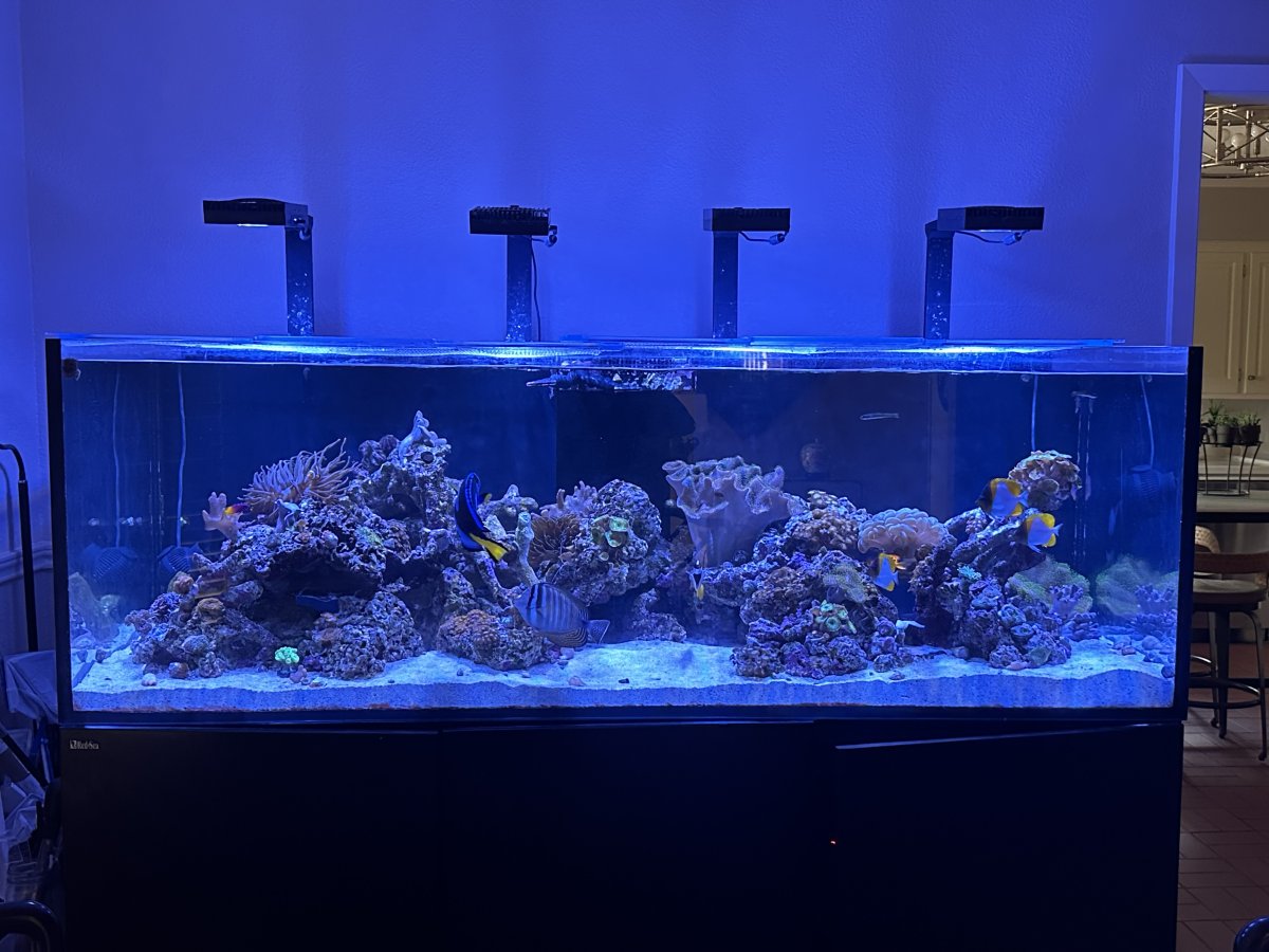 Dry Goods - Texas - Reefer 750 XXL - Tank/Stand/Custom Lid - 900 - DFW ...