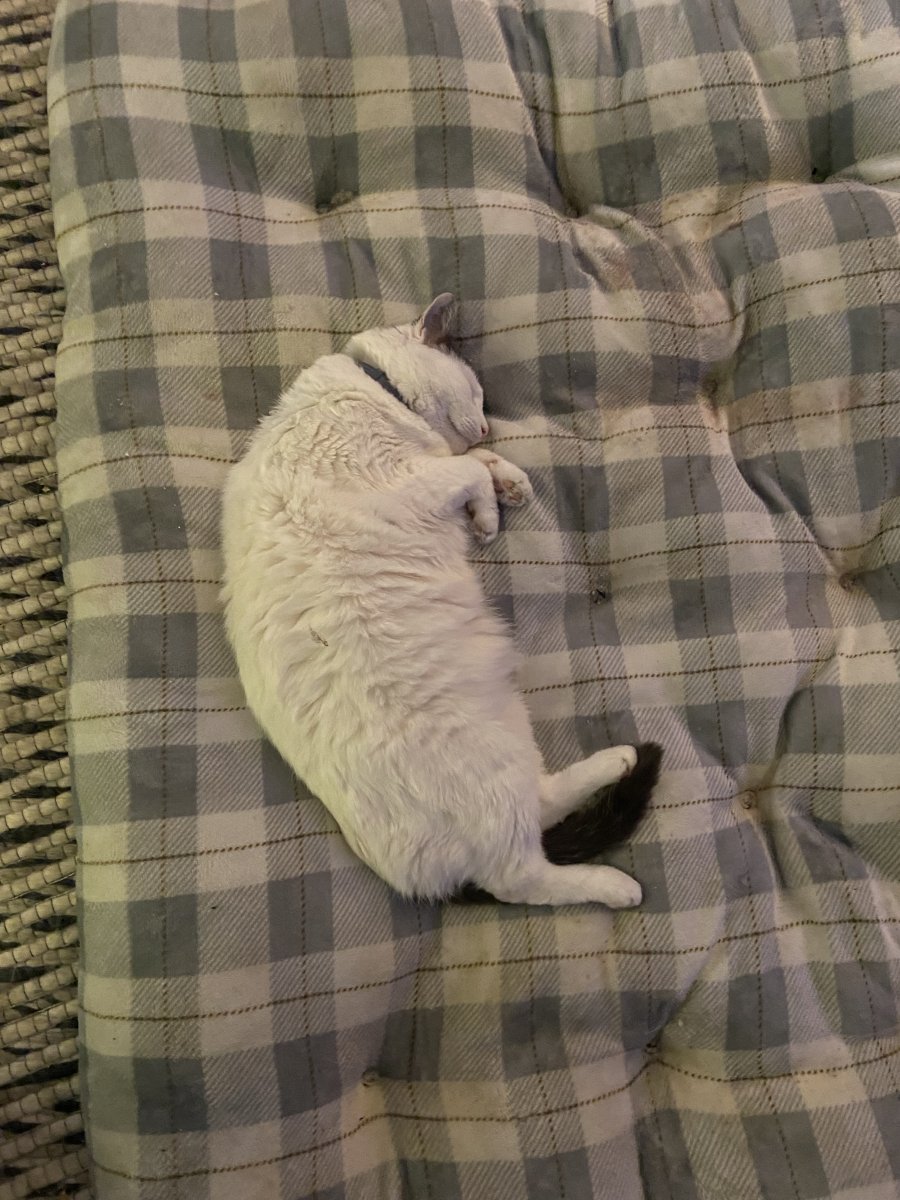 IMG_0555.jpeg