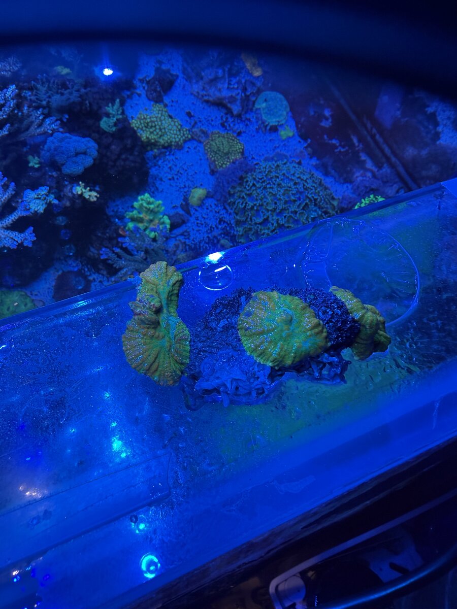 IMG_0556.jpeg