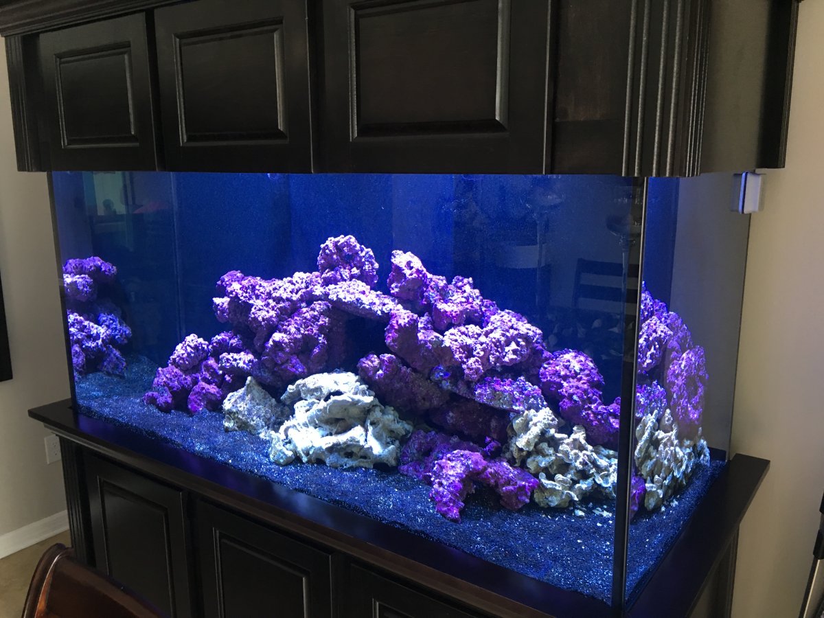The Supreme Guide To Setting Up A Saltwater Reef Aquarium | Page 4 ...