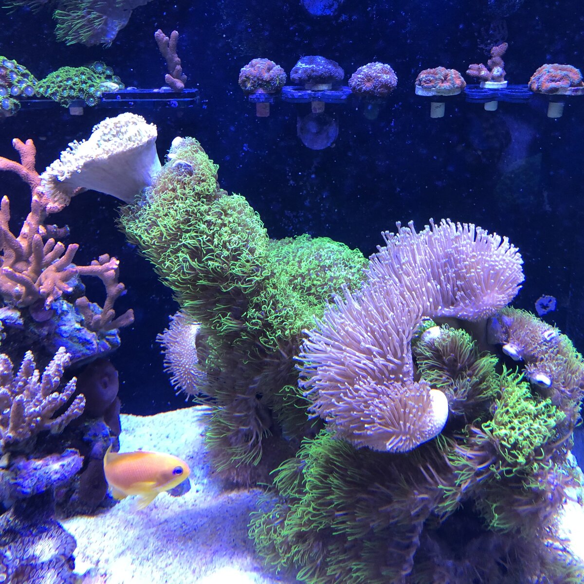 IMG_0574.jpeg