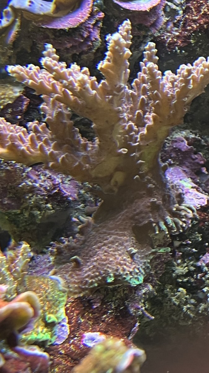 IMG_0579.jpeg