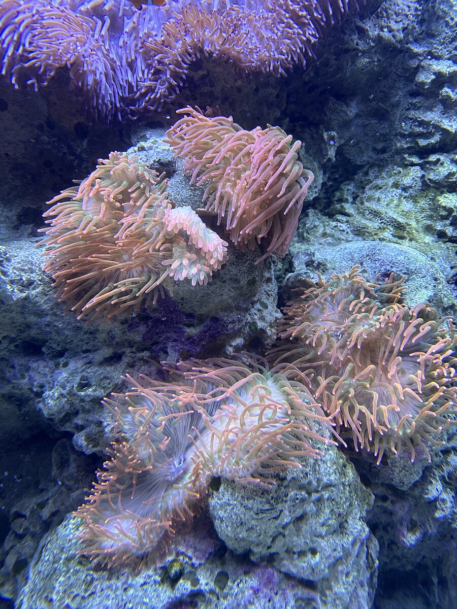 IMG_0584.jpeg