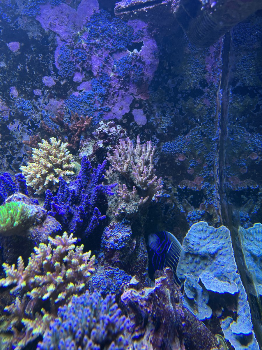 IMG_0589.JPG