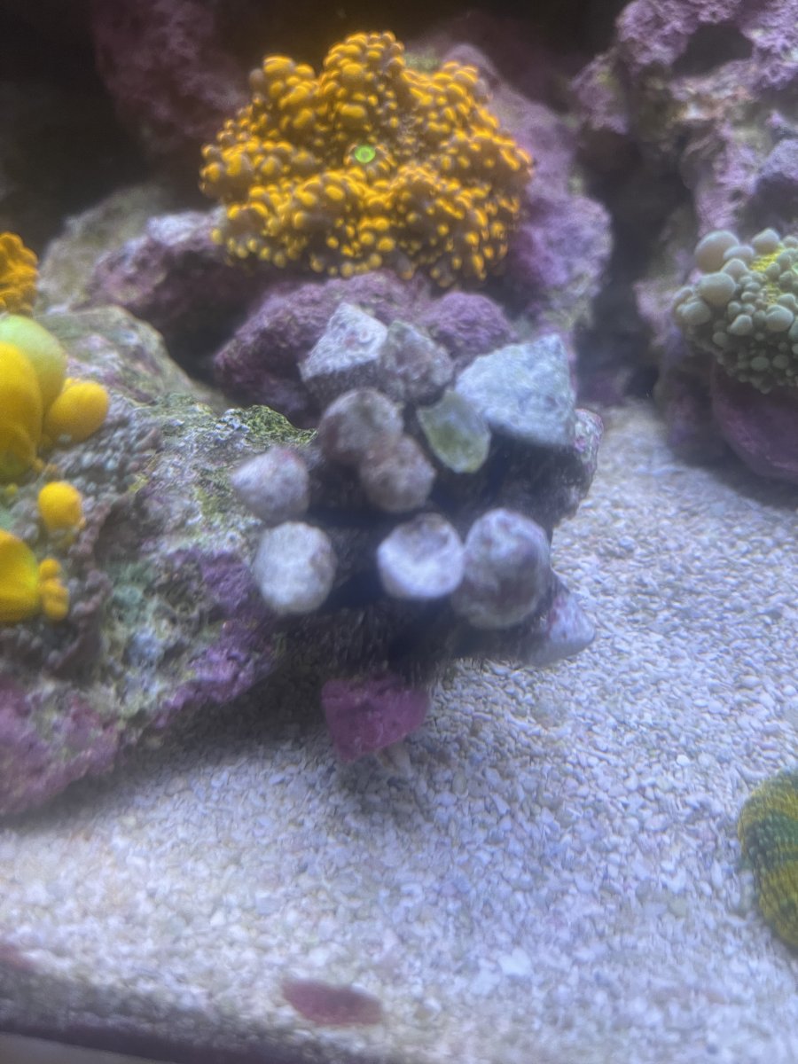 IMG_0595.jpeg