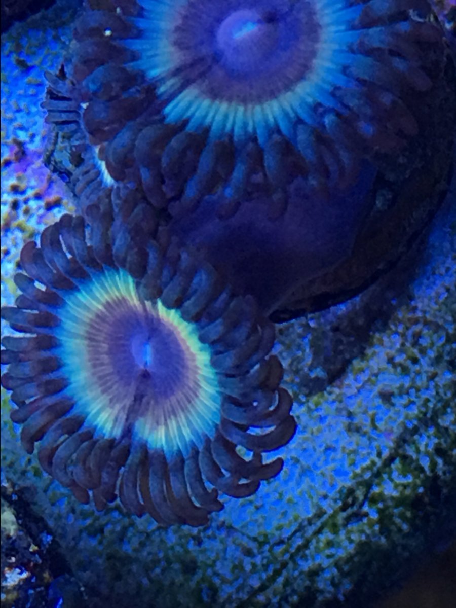 IMG_0598.jpeg