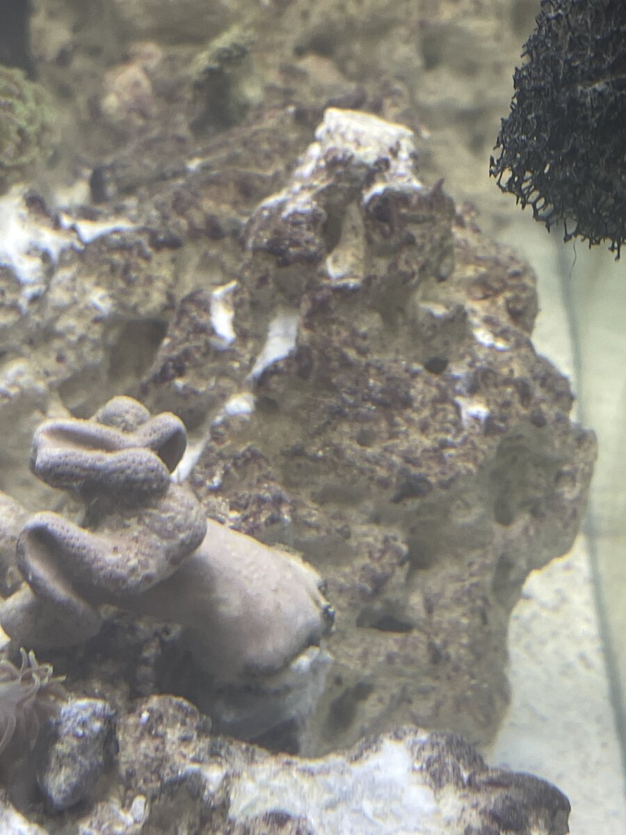 IMG_0599.jpeg