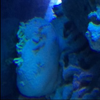 IMG_0599.JPG