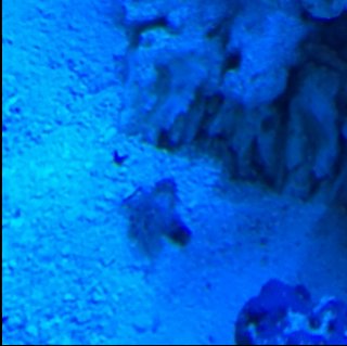 IMG_0600.JPG