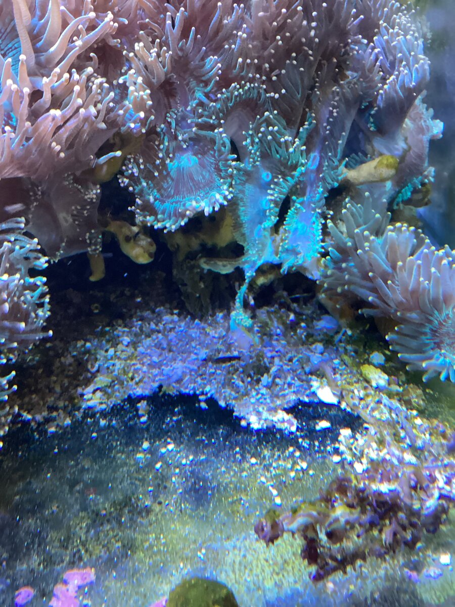 IMG_0614.jpeg
