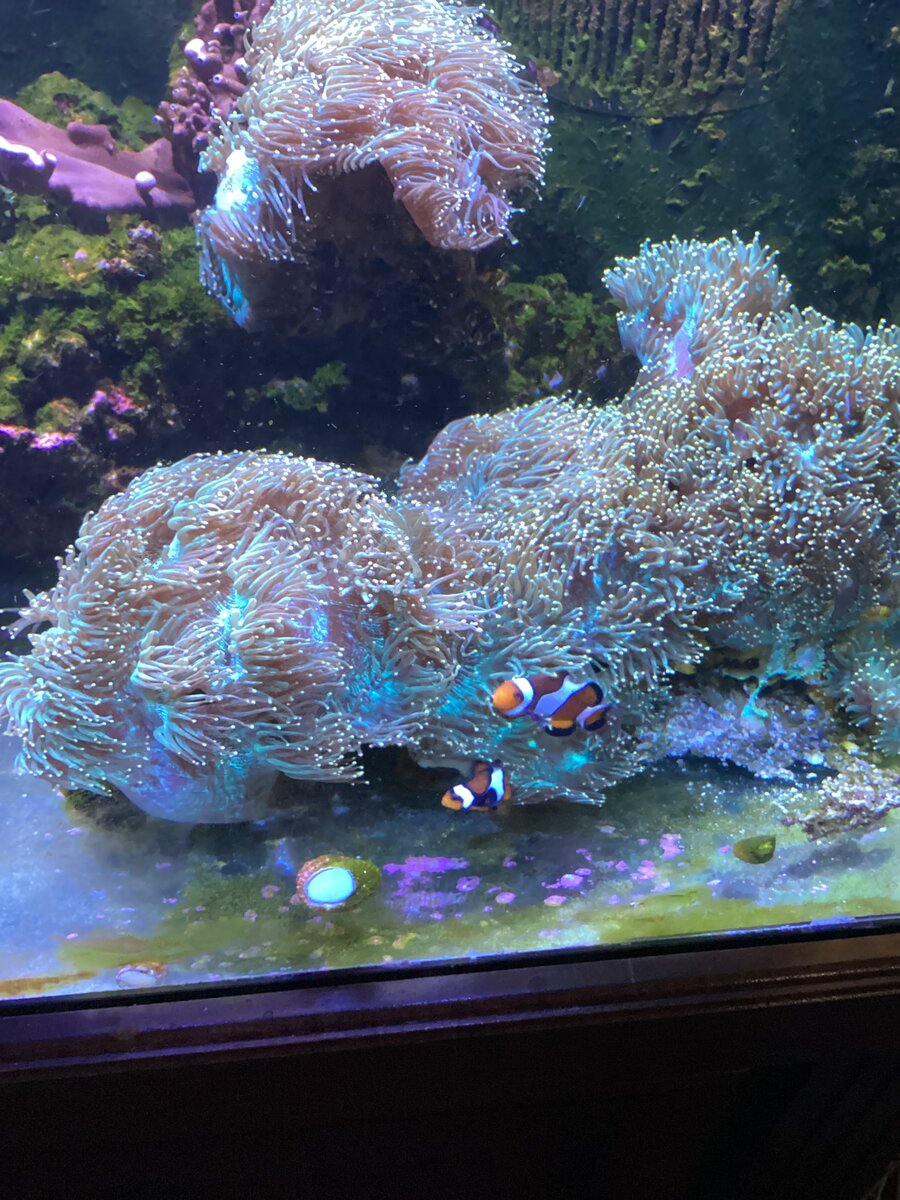 IMG_0616.jpeg