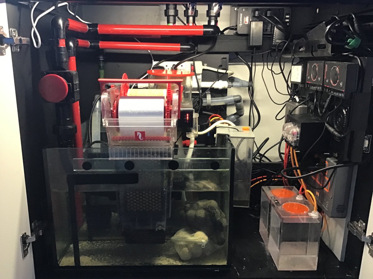 Show Off Your Sumps!!! | Page 2 | Reef2Reef
