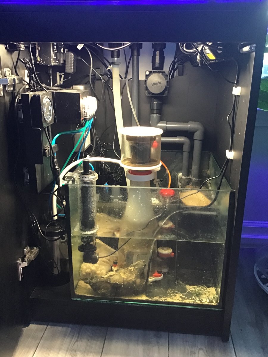 Show Off Your Sumps!!! | Page 2 | Reef2Reef