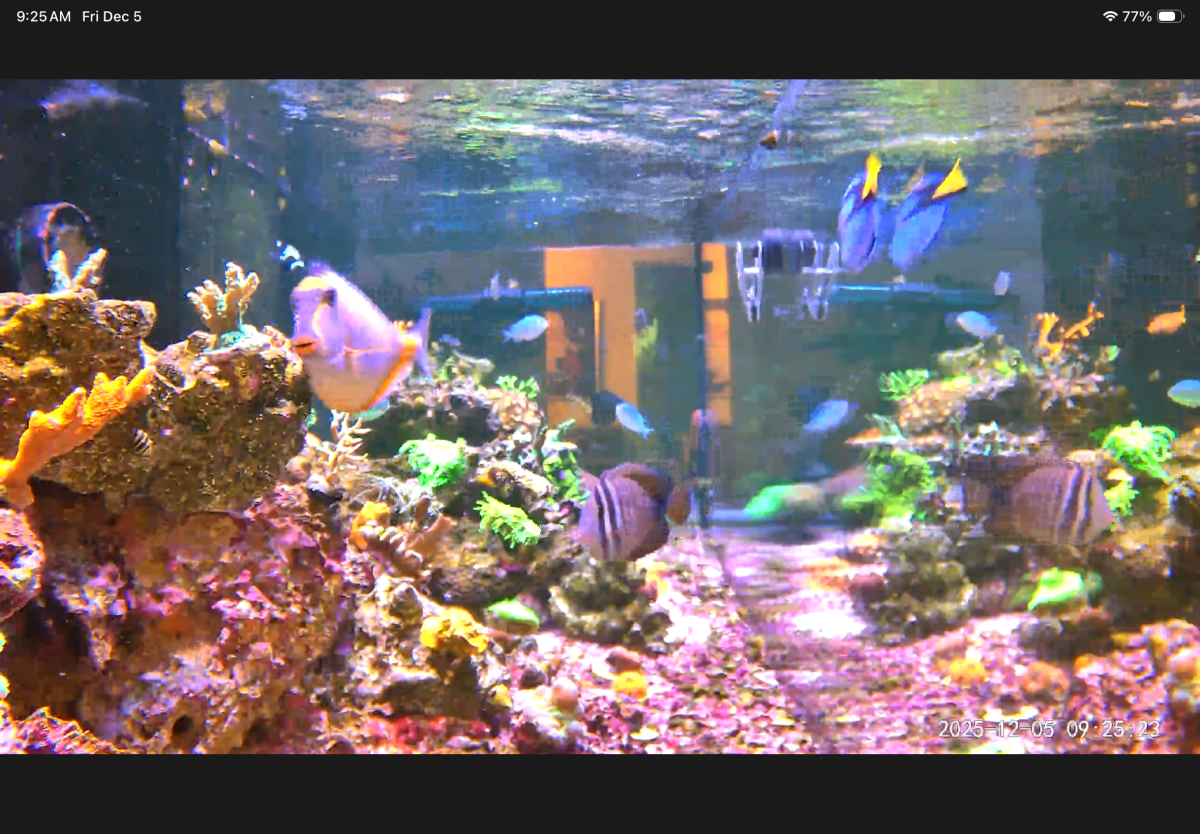 IMG_0623.png