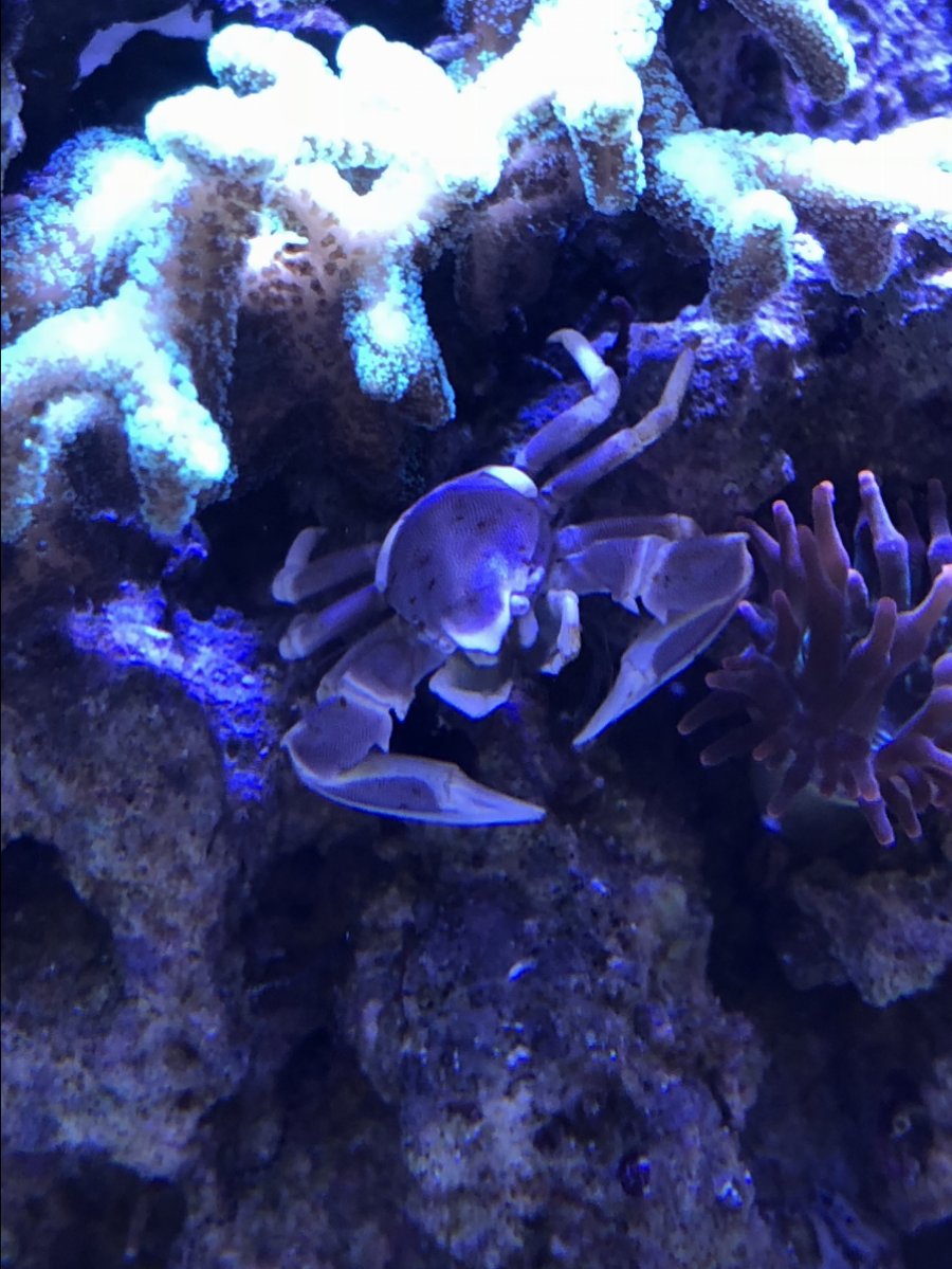 IMG_0626.jpeg