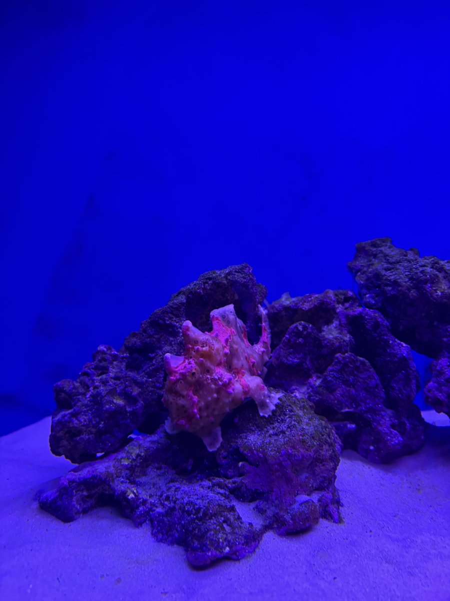 IMG_0635.jpeg