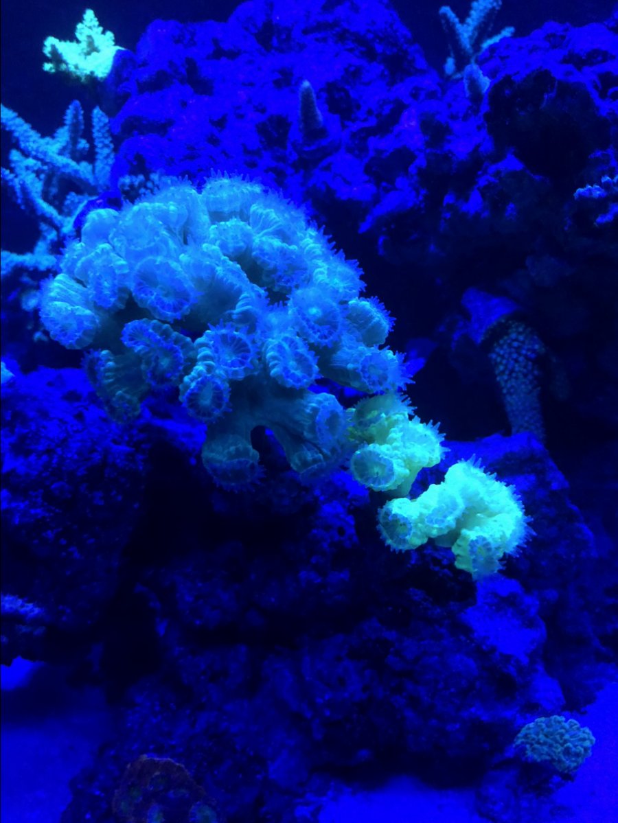 IMG_0636.jpeg