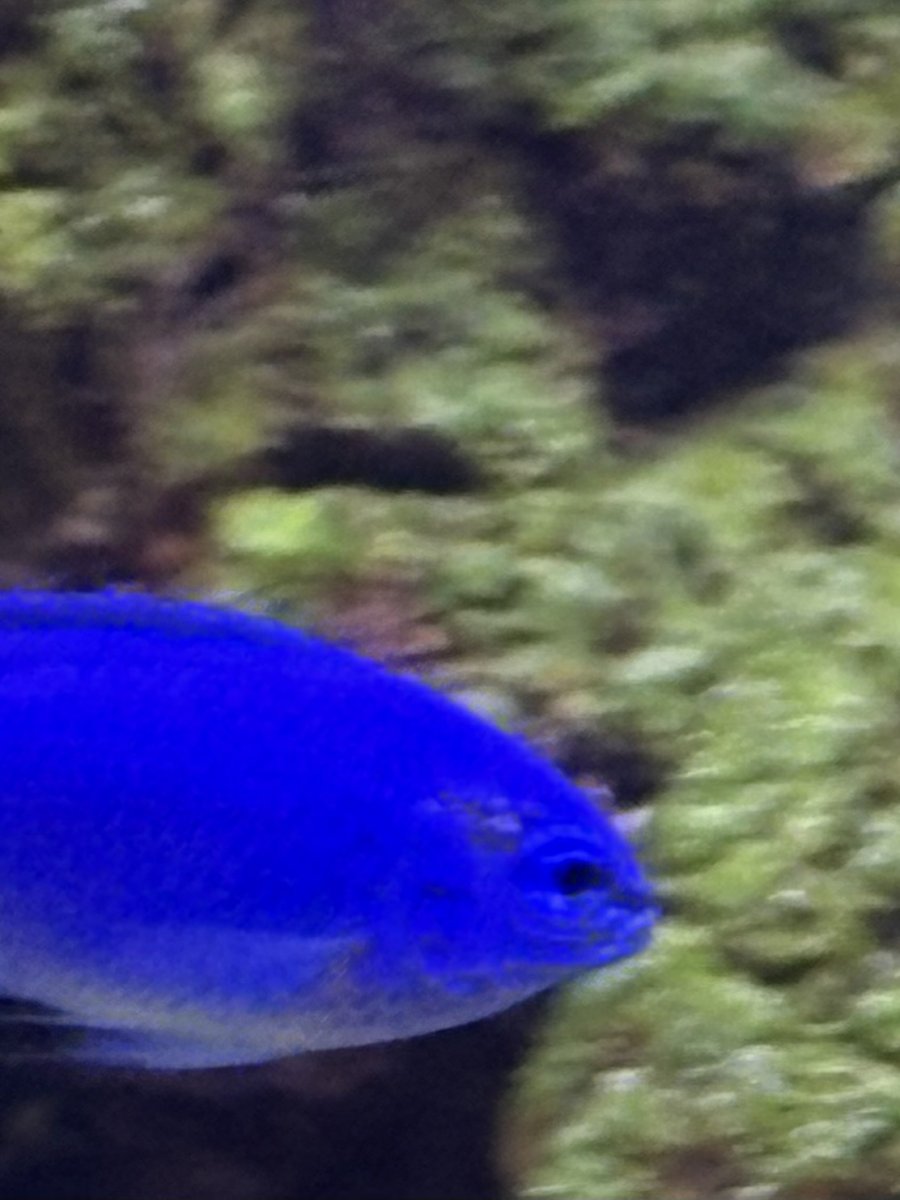 IMG_0647.jpeg
