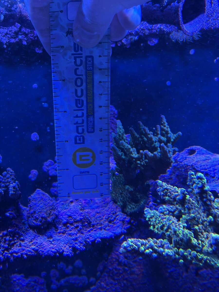 IMG_0653.JPEG
