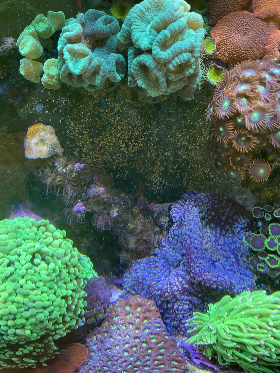 IMG_0655.jpeg