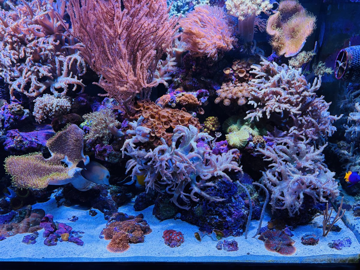 IMG_0664.jpeg