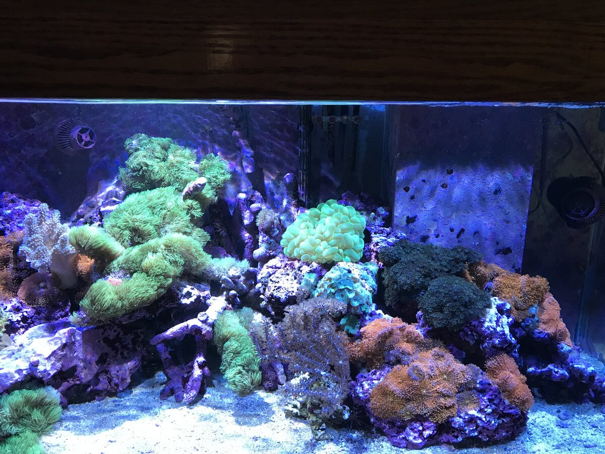 IMG_0664.jpeg