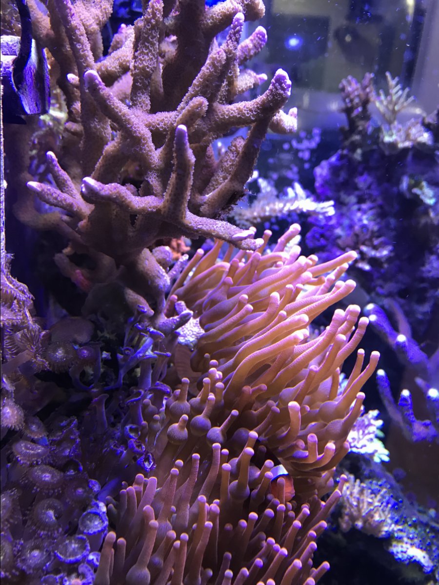IMG_0666.JPG