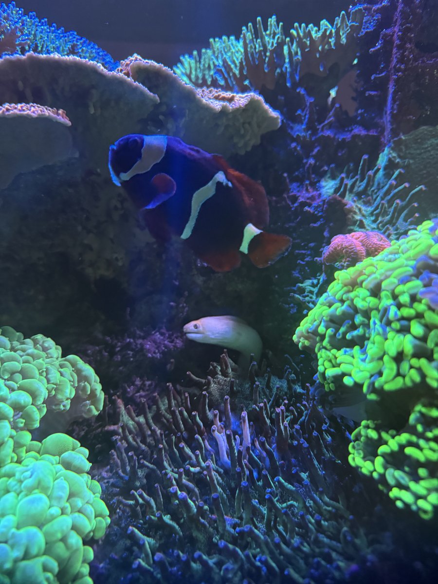 IMG_0669.JPEG