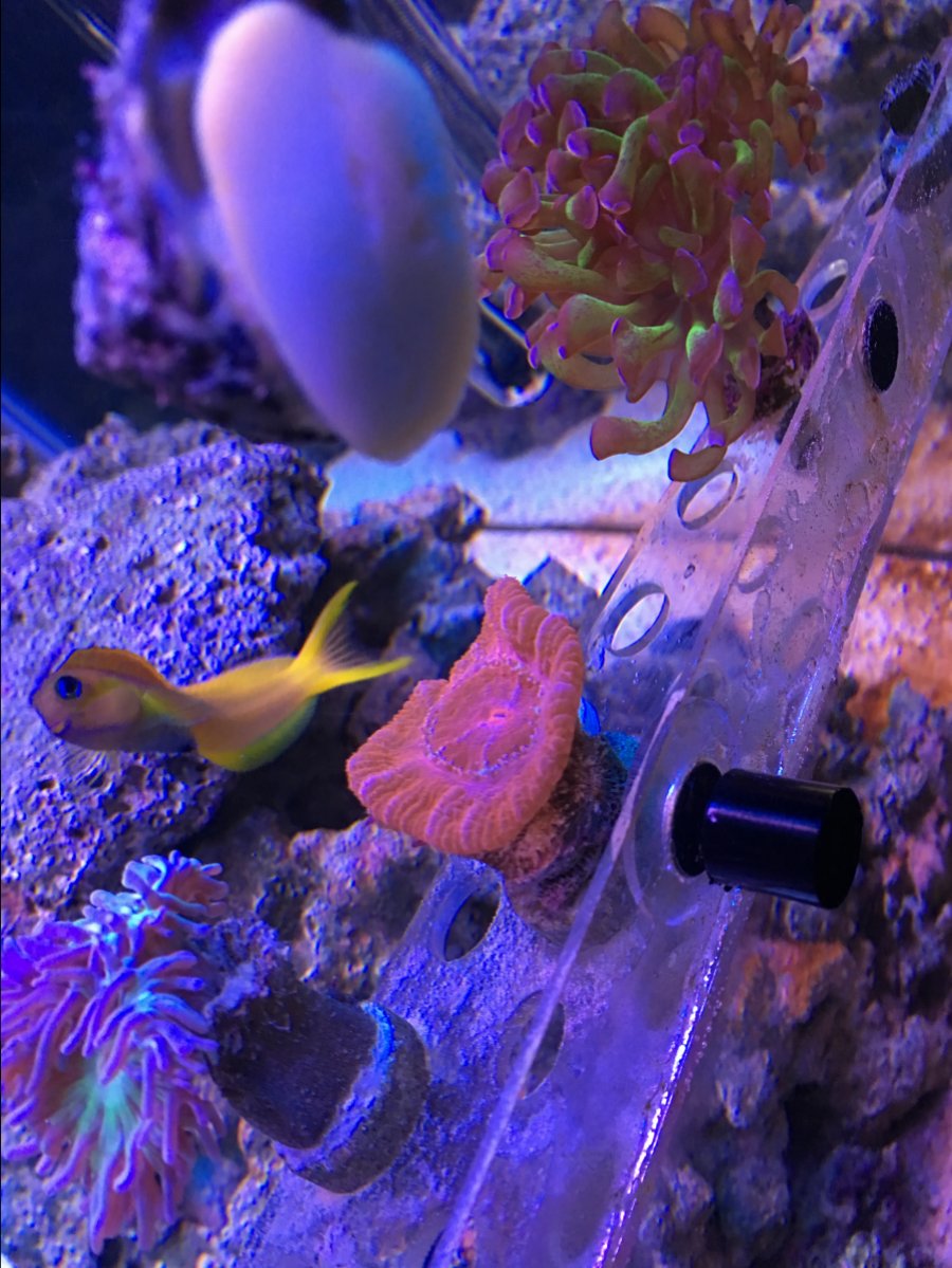 IMG_0677.JPG