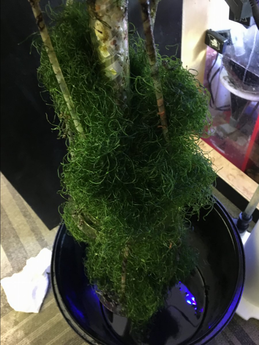IMG_0679.JPG
